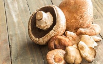AHCC vs. Other Mushroom Supplements