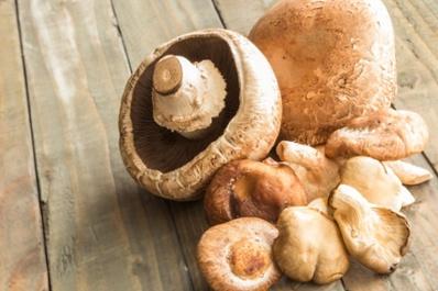 AHCC vs. Other Mushroom Supplements