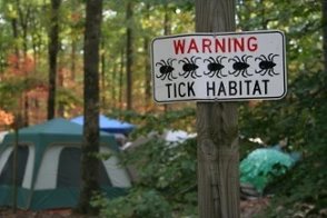 Facts on Ticks and Lyme Disease