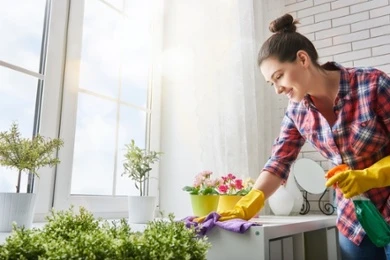 Spring Clean Your Body and Mind