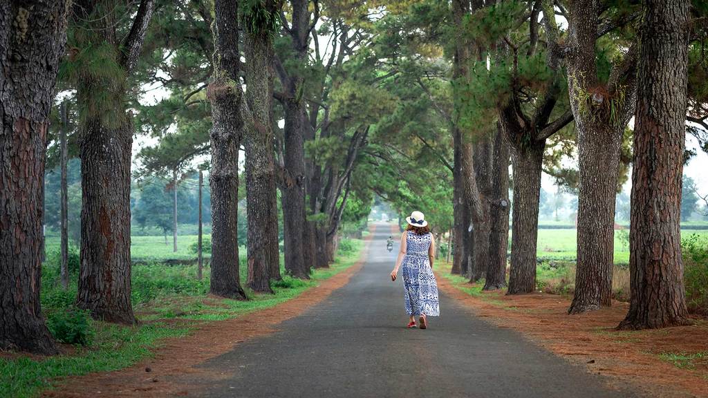 Benefits of Nature: Learn About the Benefits for Your Health and Wellness